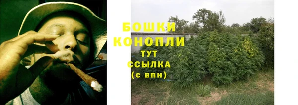 стаф Ладушкин