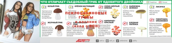 стаф Ладушкин