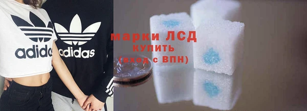 стаф Ладушкин