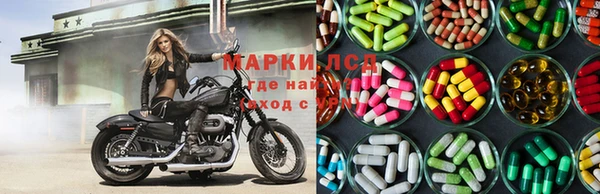 стаф Ладушкин