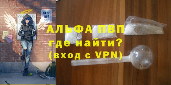 стаф Ладушкин