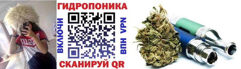 Бошки Шишки SATIVA & INDICA  Купить где  Томмот 
